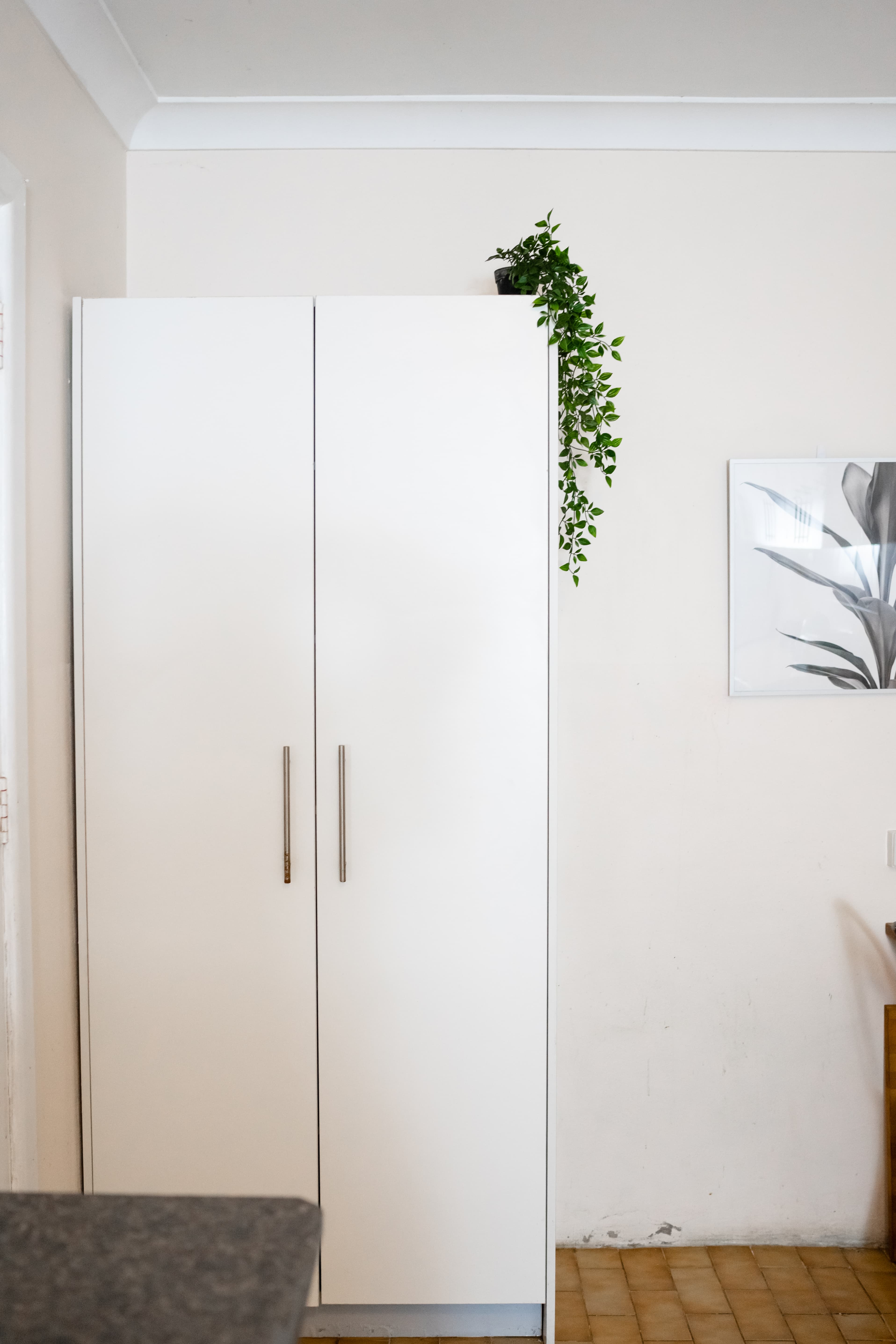 Harris Park coliving home 3
