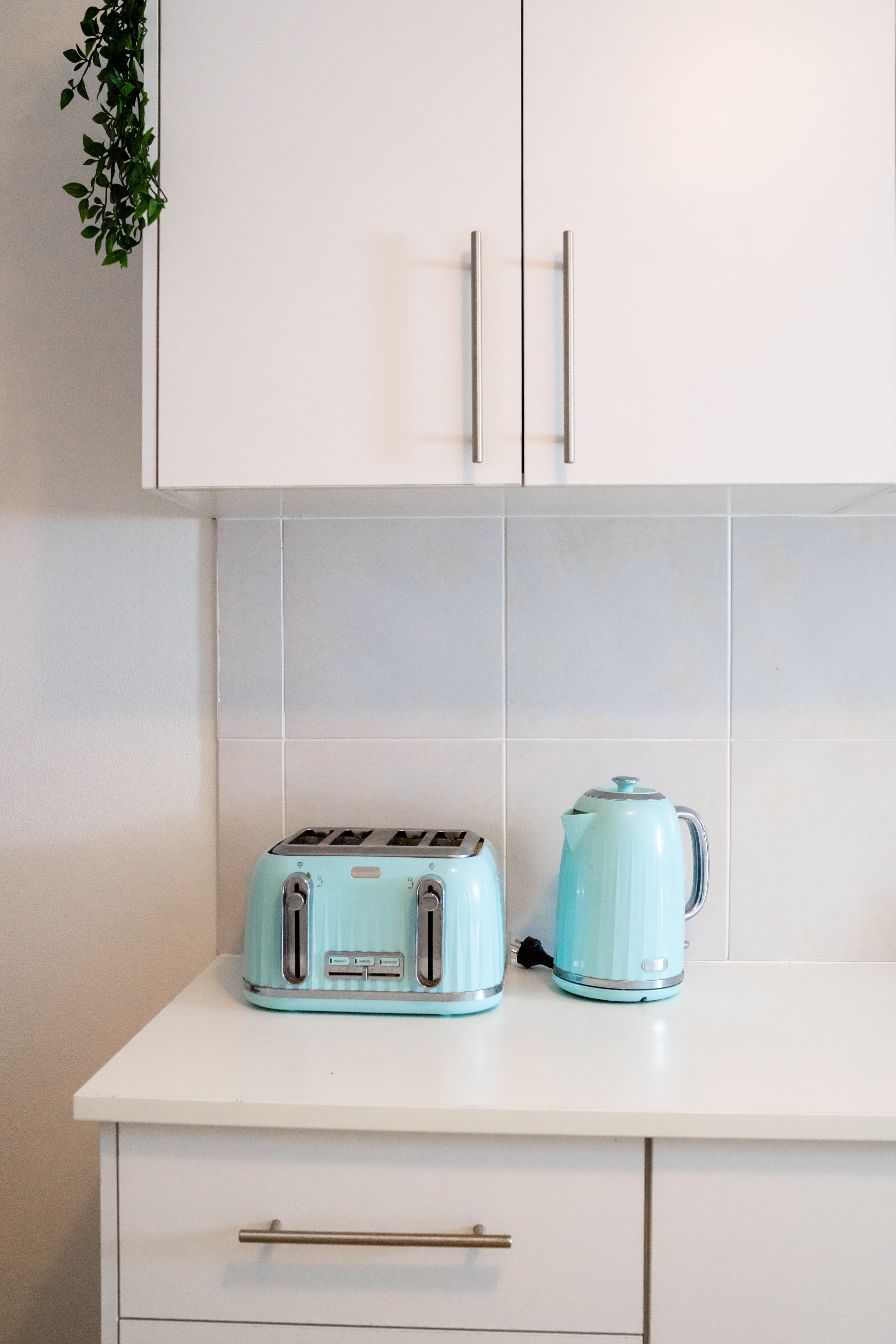 Potts Point coliving home 4