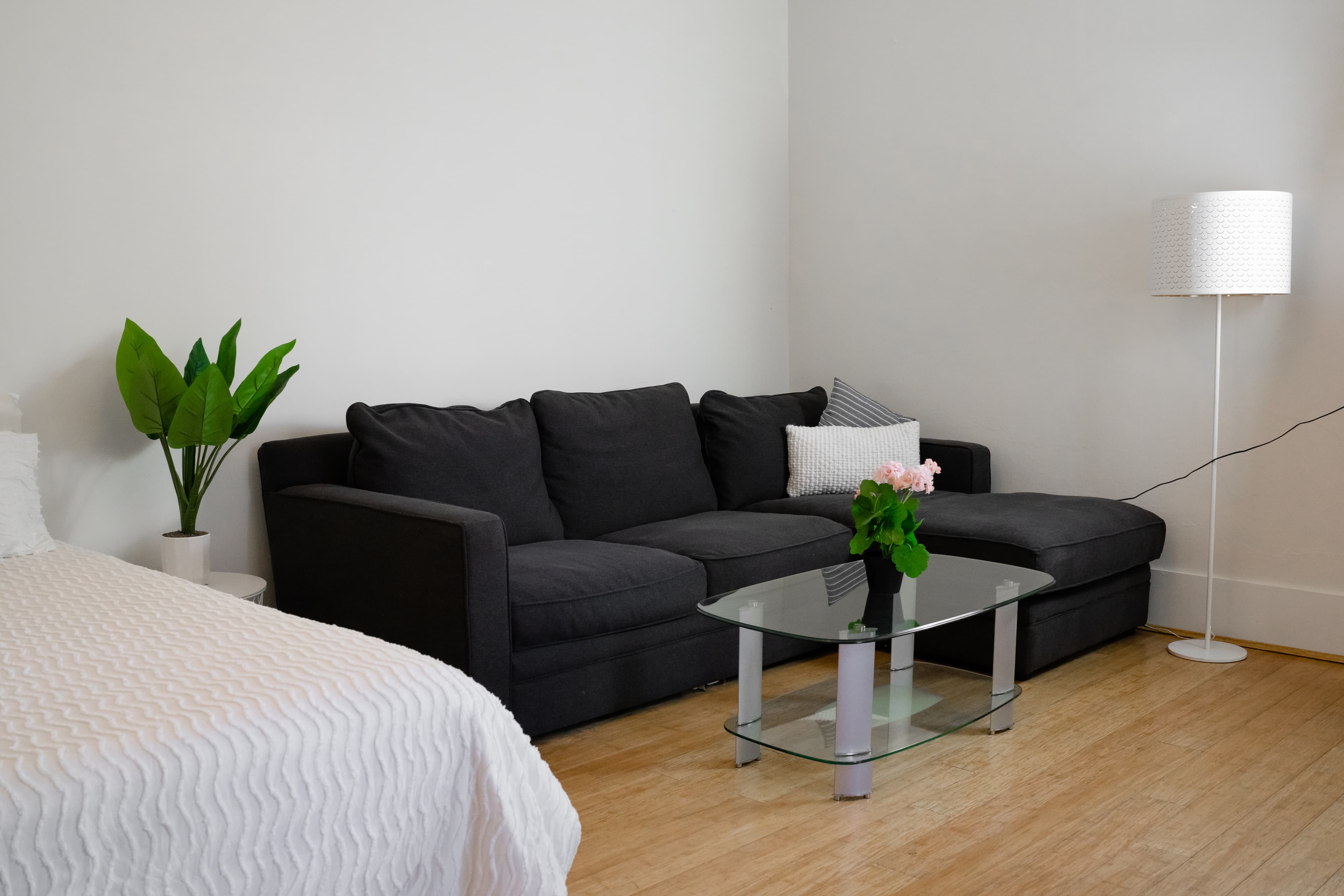 Ashfield coliving home 1