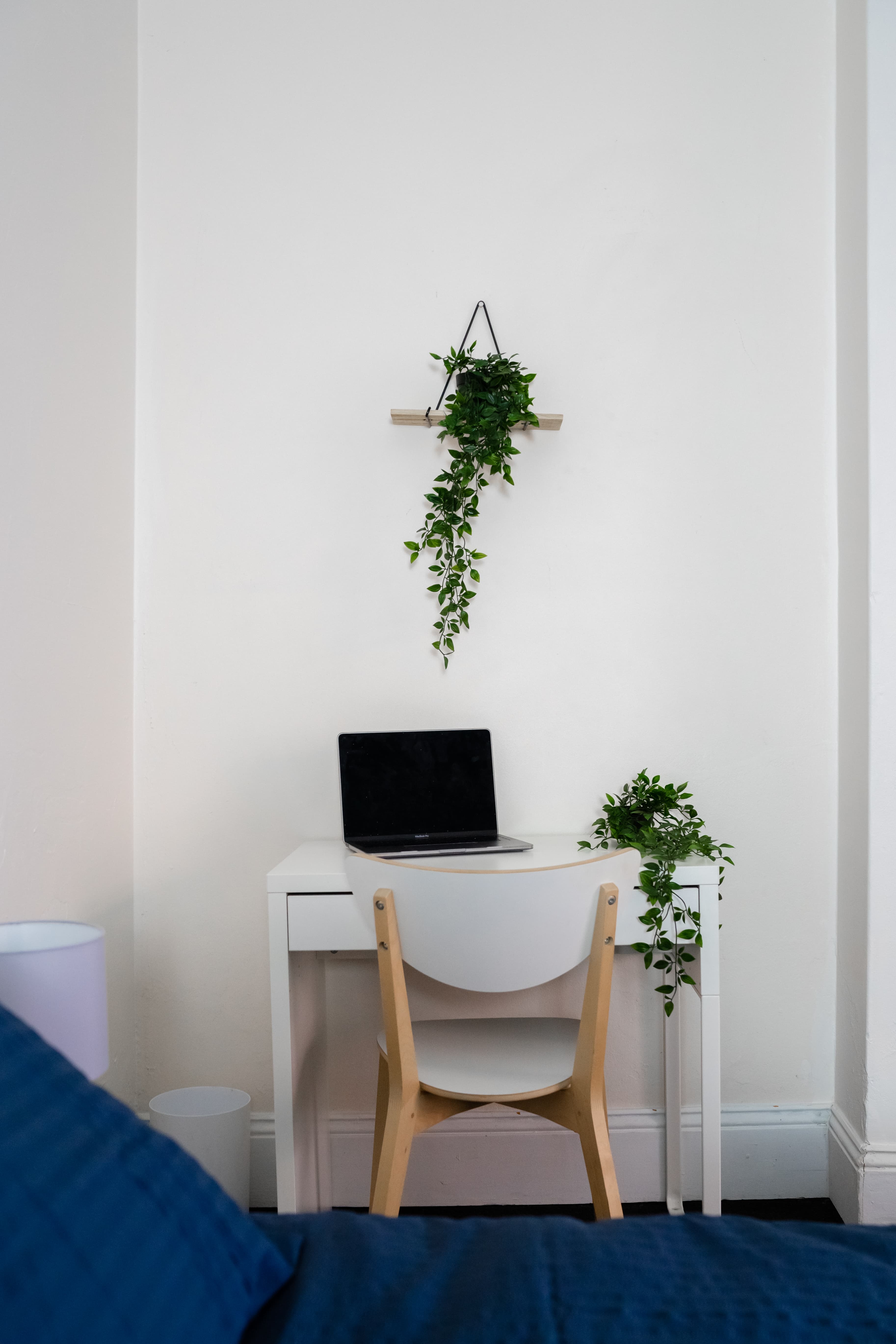 Darlinghurst coliving home 12