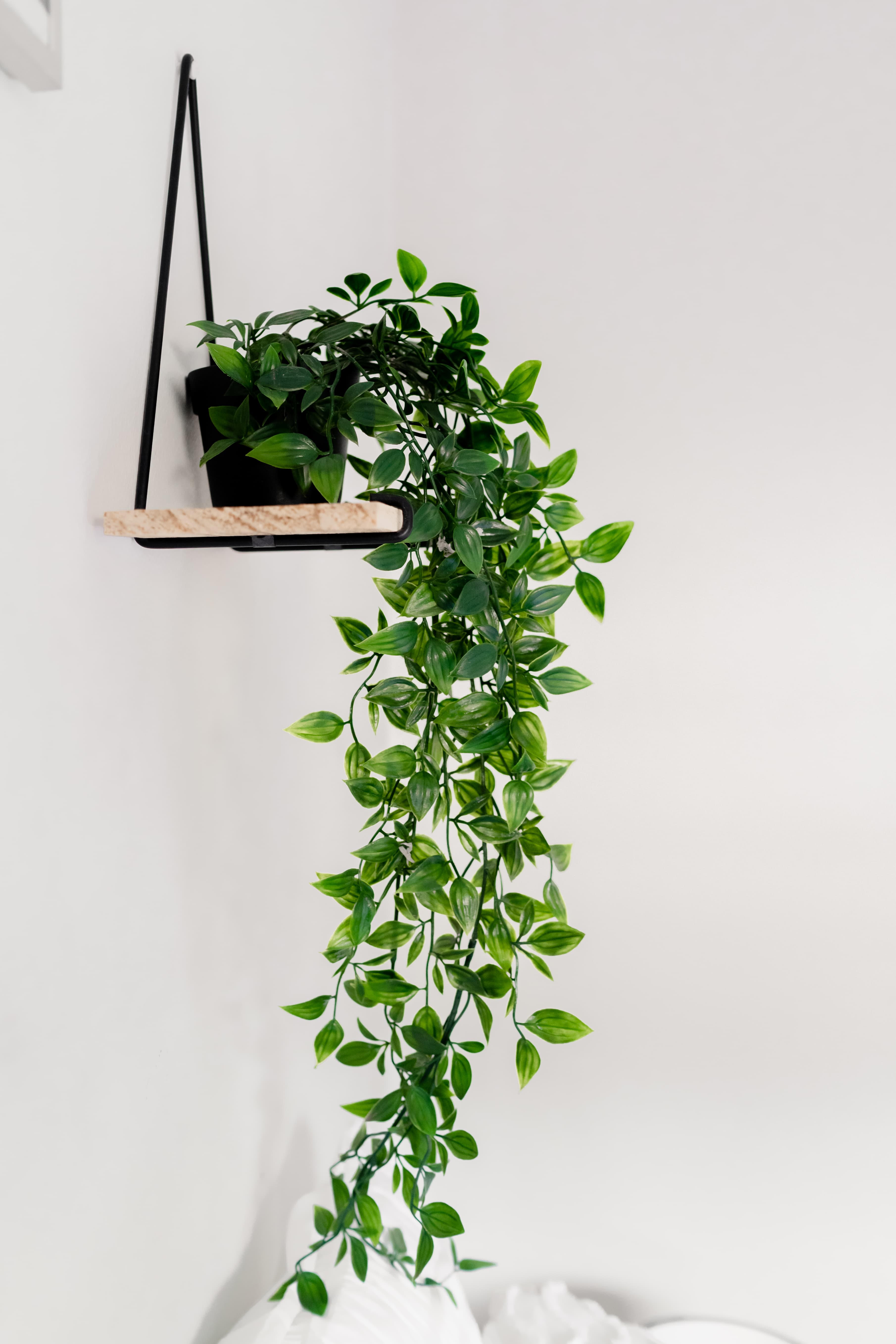 Redfern coliving home 6