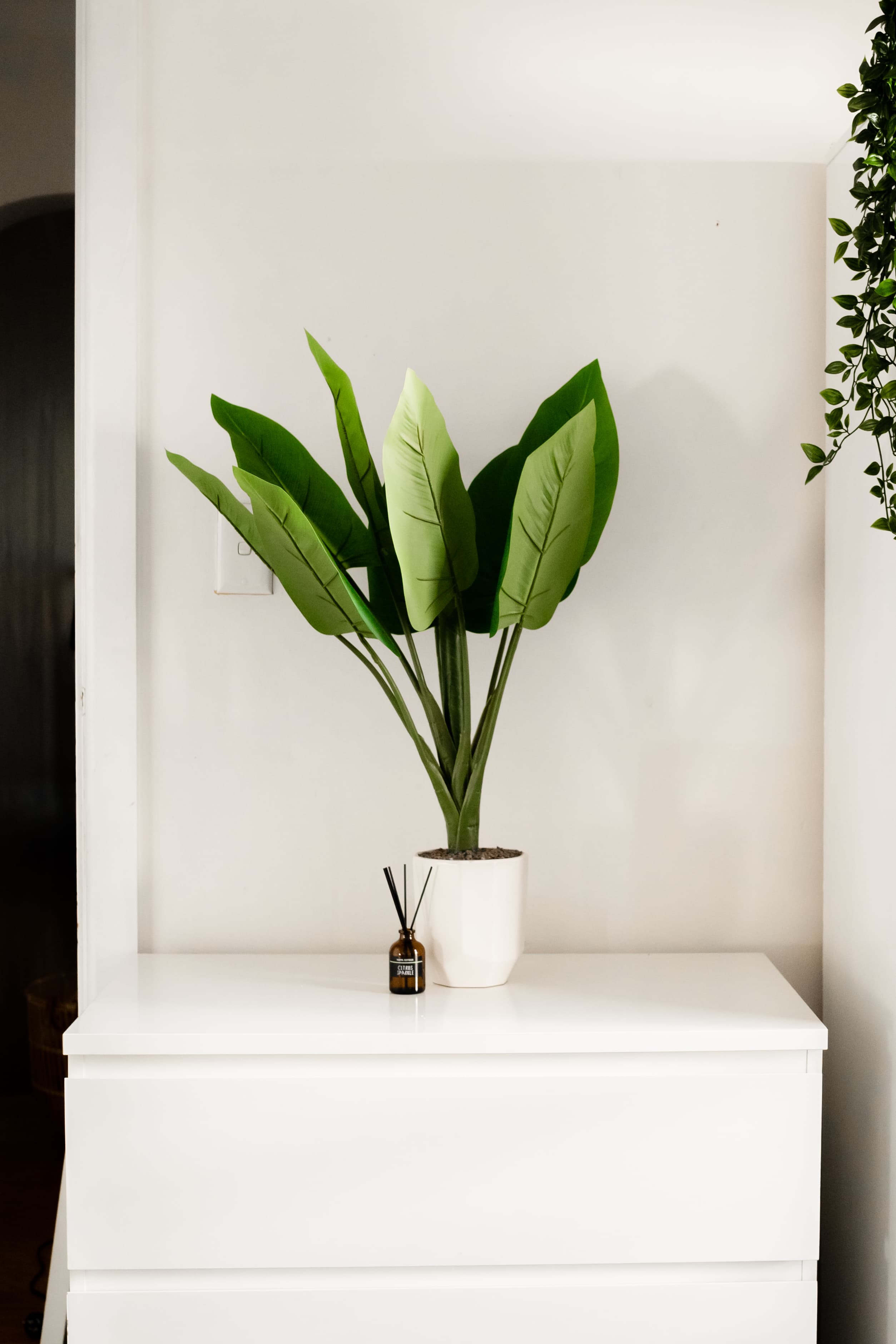 Harris Park coliving home 4