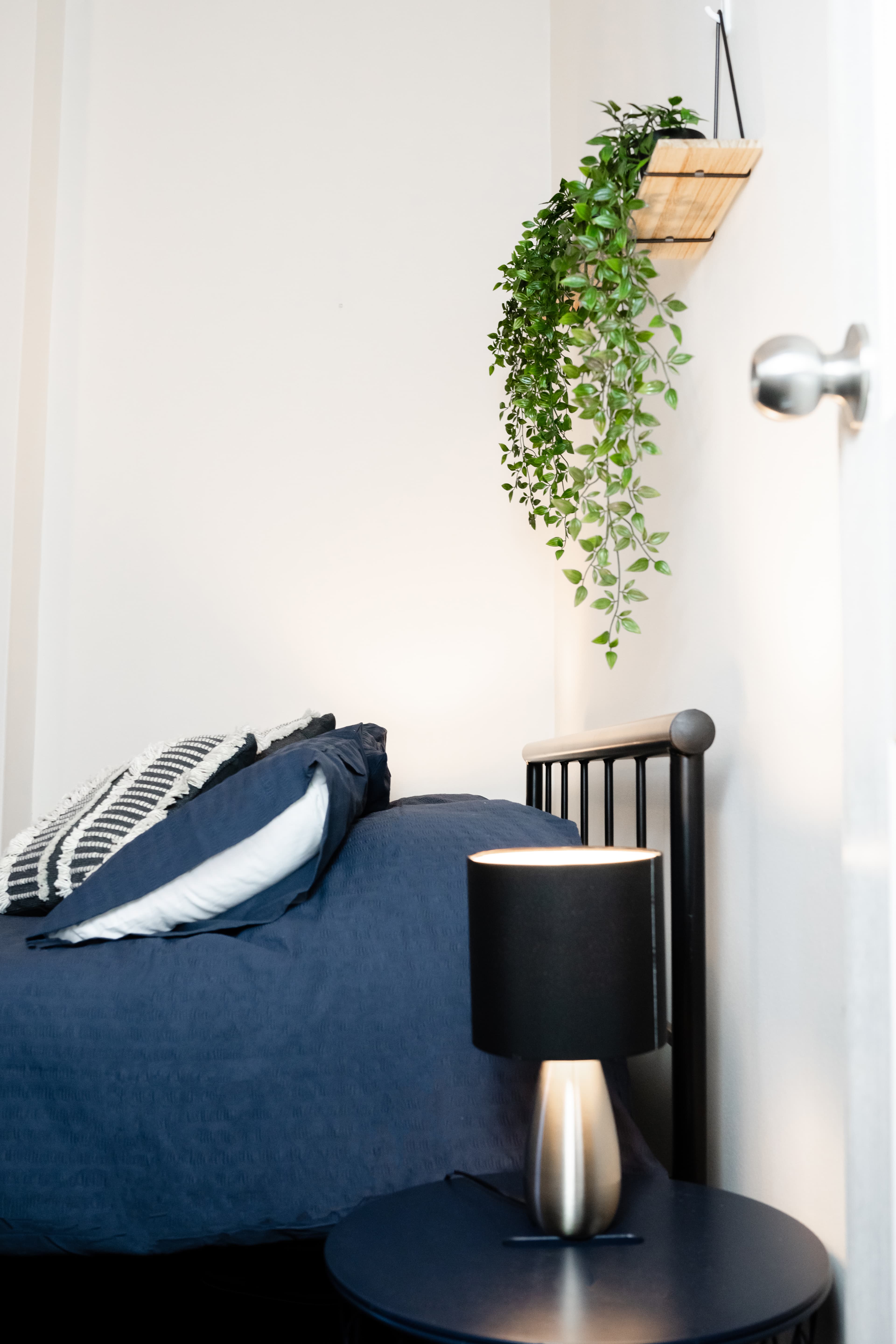 Potts Point coliving home 2