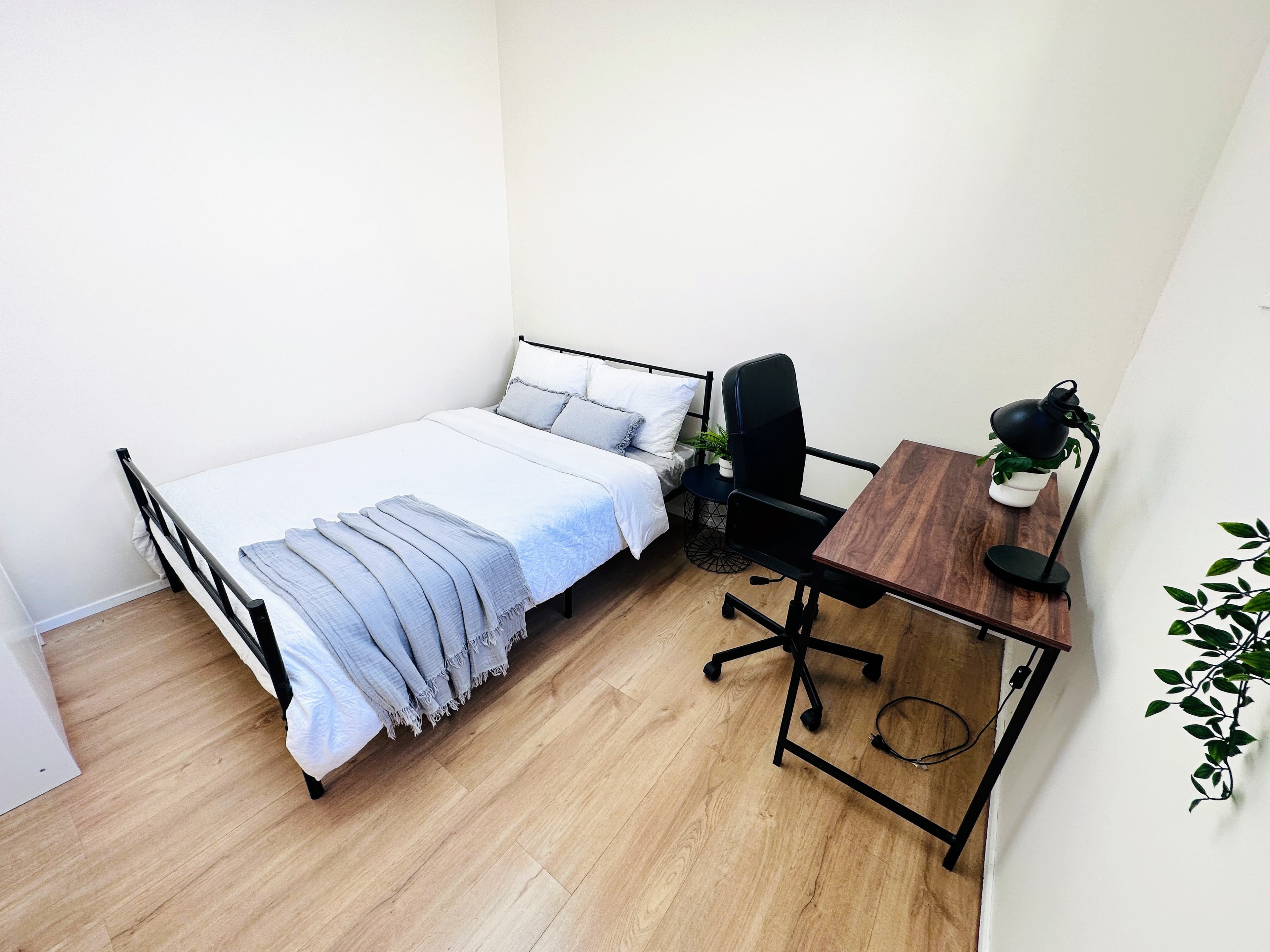 Camperdown coliving home 3