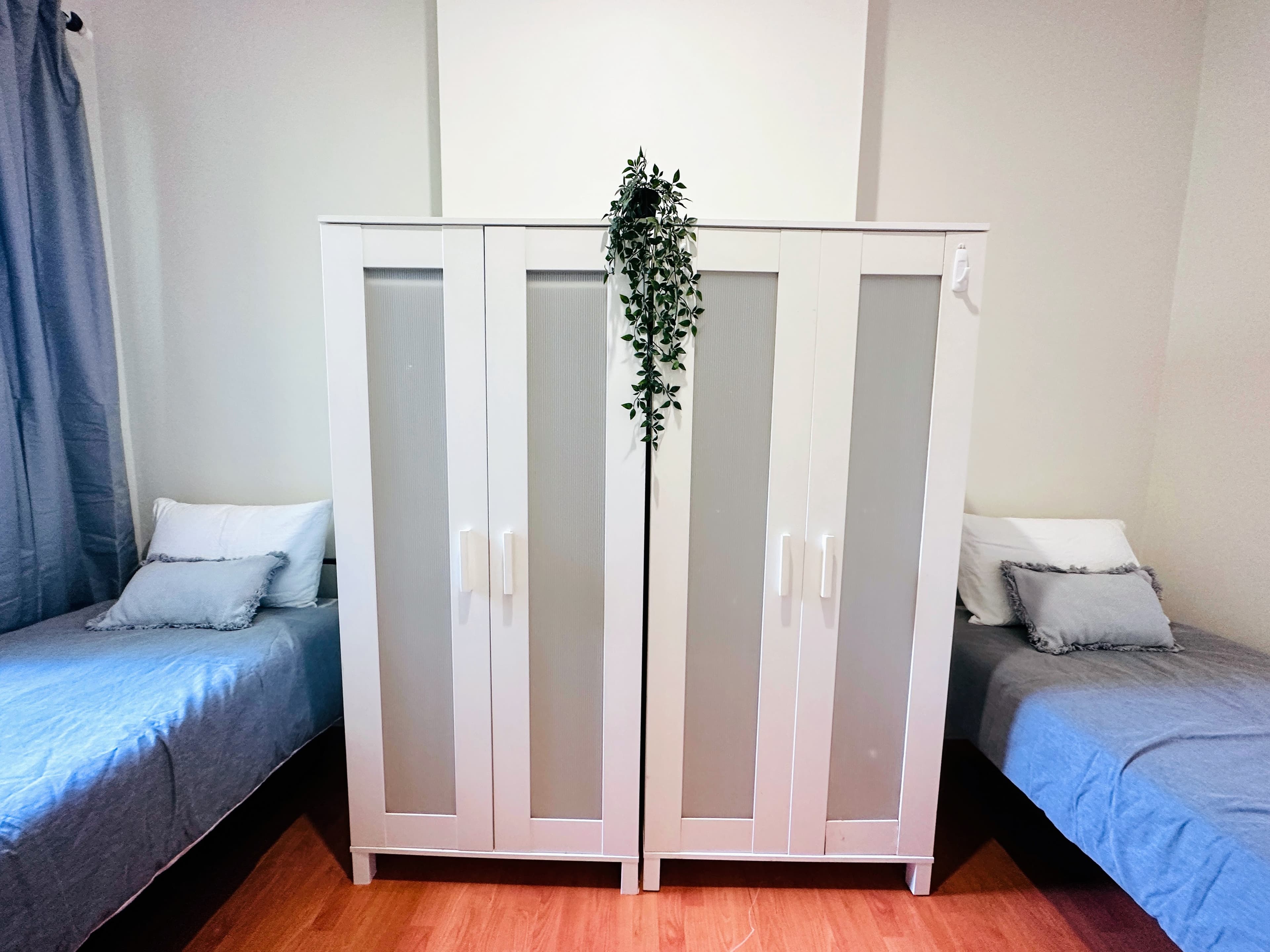 Glebe coliving home 3