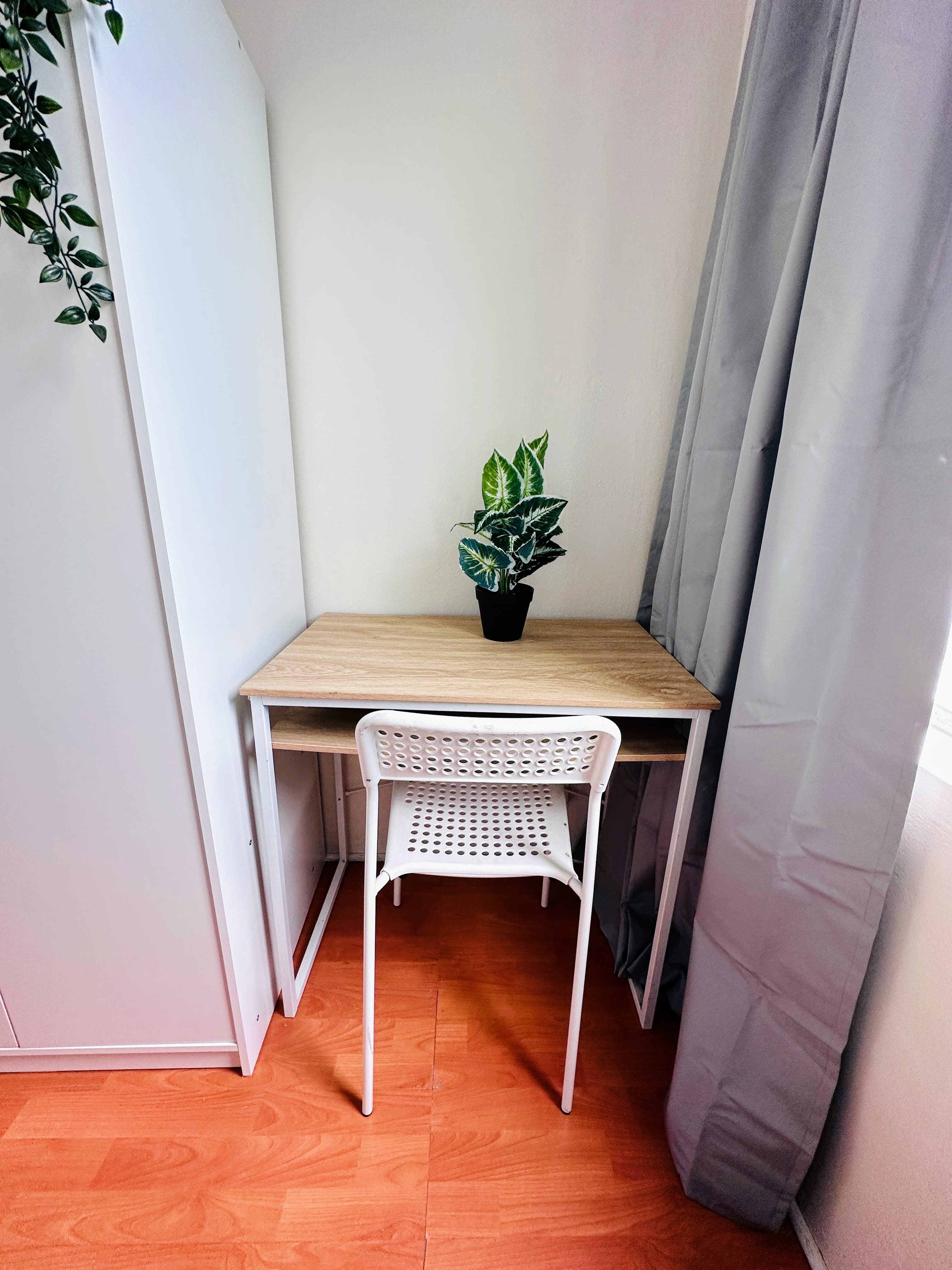 Rosebery coliving home 9