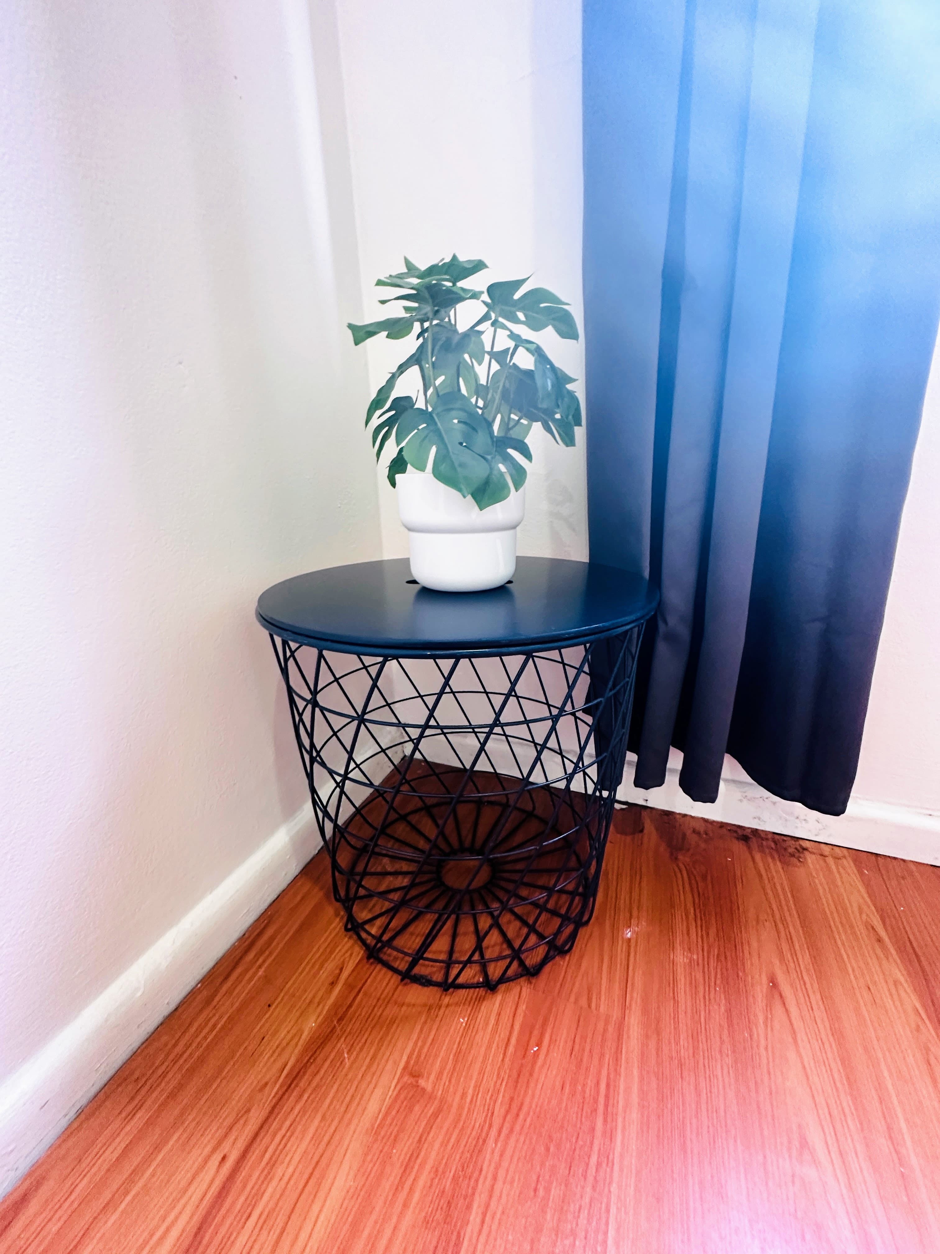 Darlinghurst coliving home 6