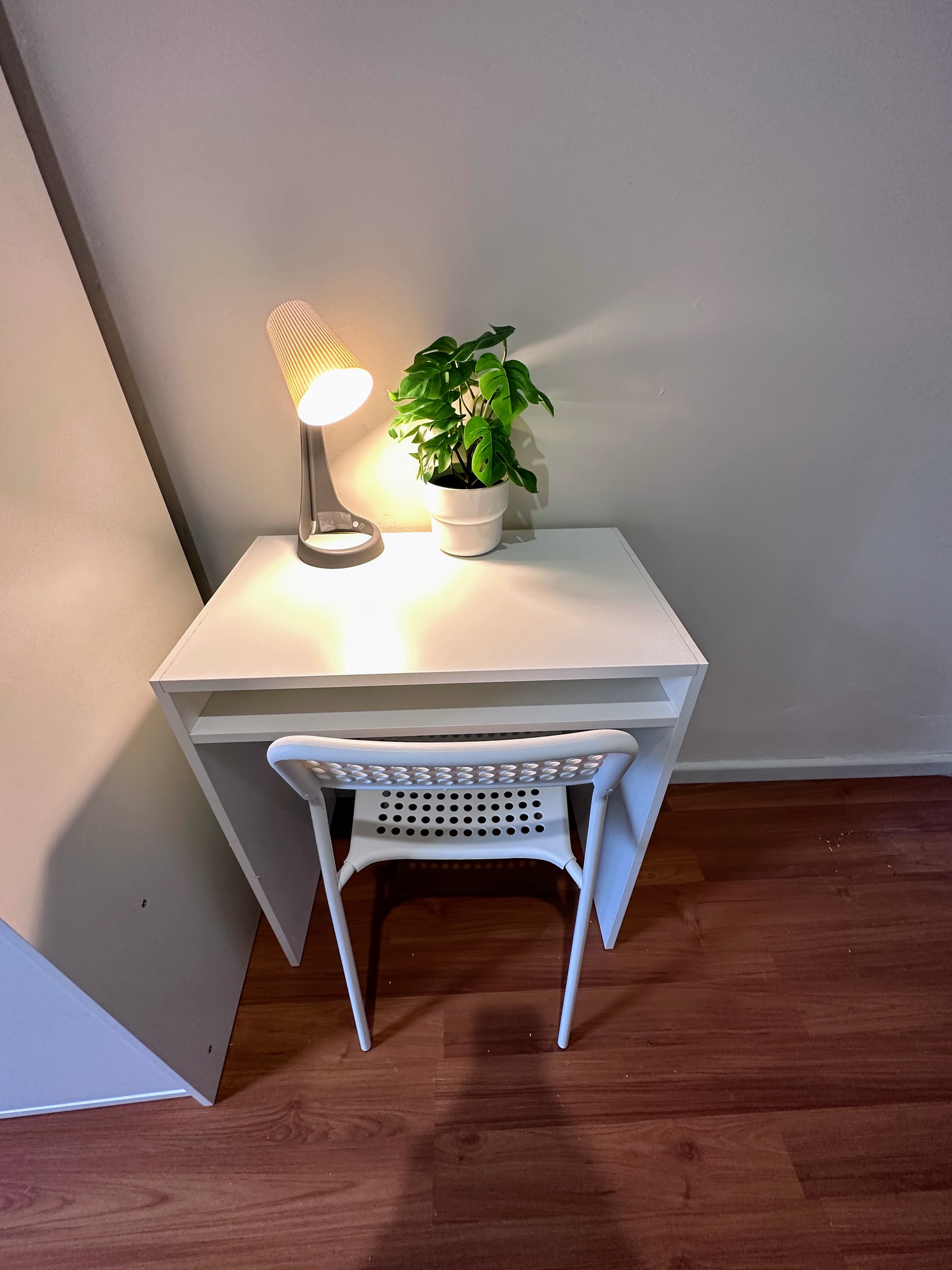 Rydalmere coliving home 3